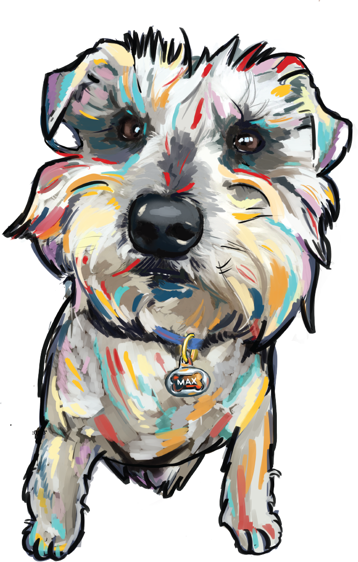 Silver Schnauzer
